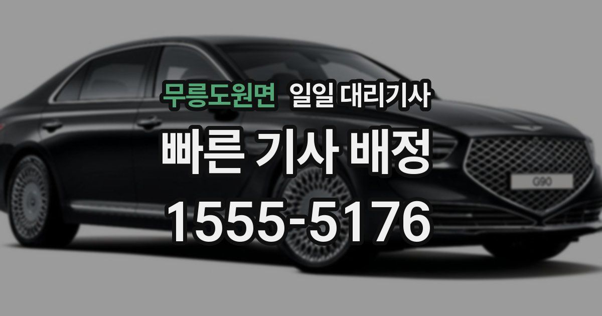 무릉도원면 일일 대리기사