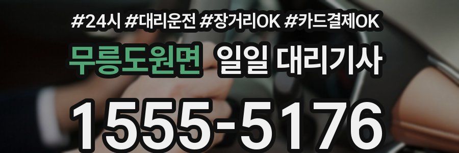 무릉도원면 일일 대리기사