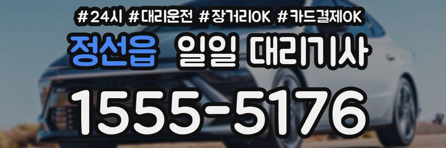 정선읍 일일 대리기사