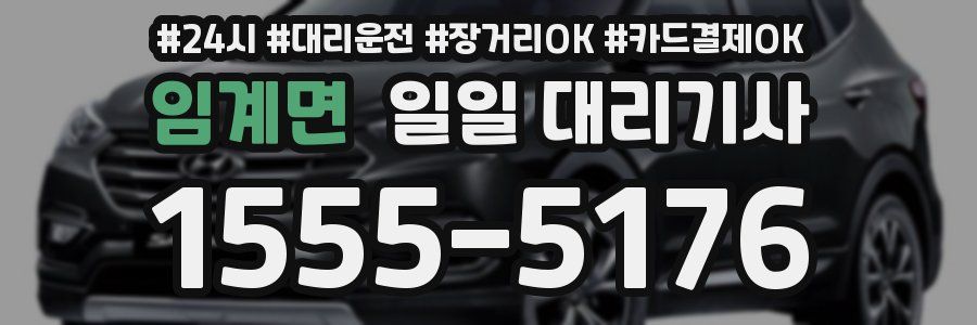 임계면 일일 대리기사