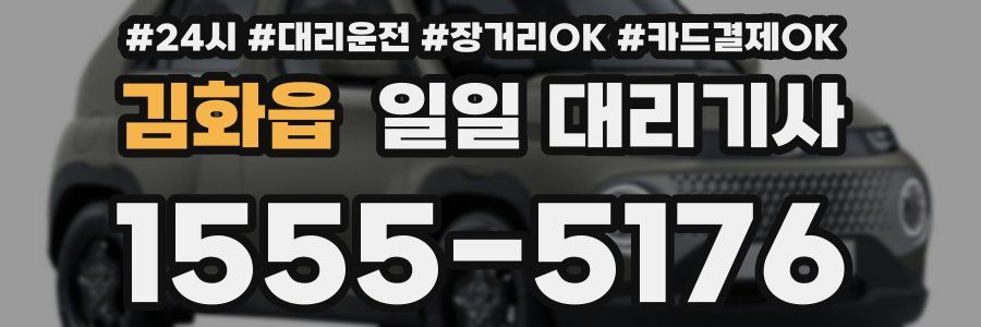 김화읍 일일 대리기사