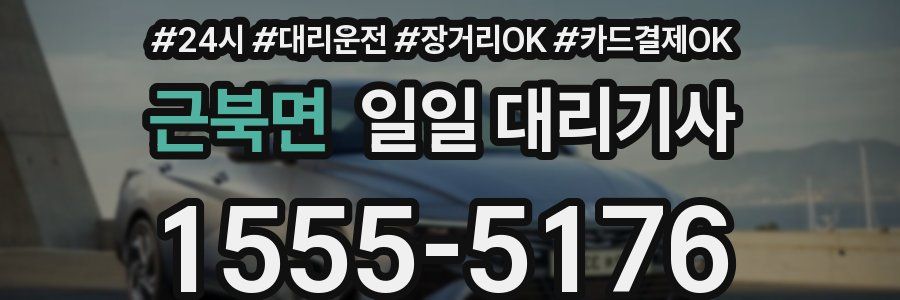 근북면 일일 대리기사