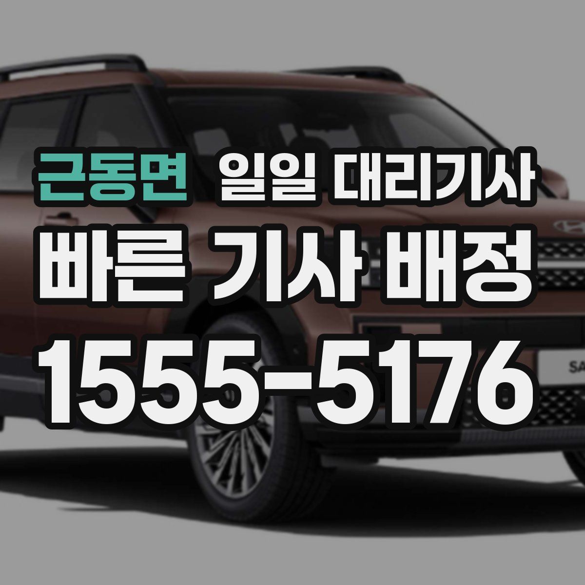 근동면 일일 대리기사