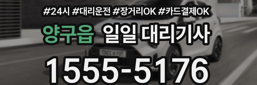 양구읍 일일 대리기사