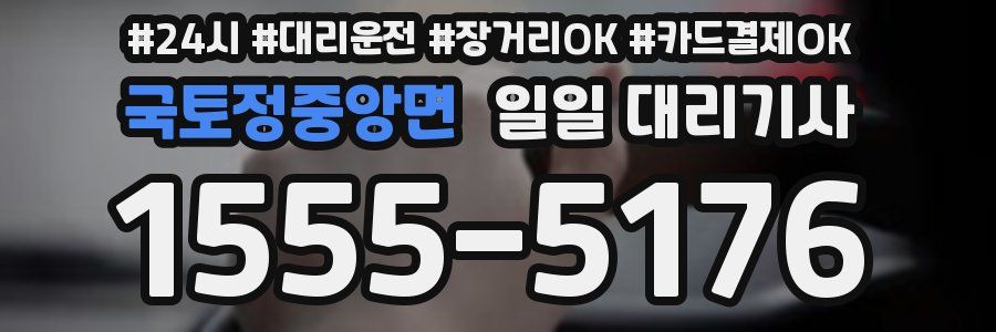 국토정중앙면 일일 대리기사