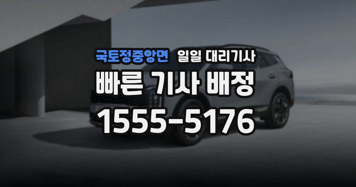 국토정중앙면 일일 대리기사