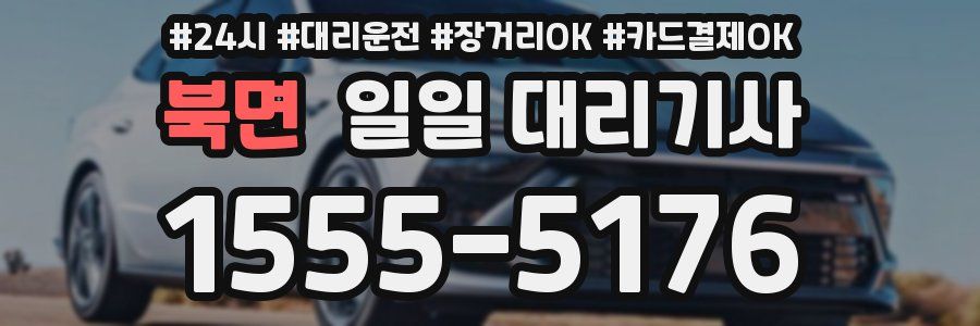 북면 일일 대리기사