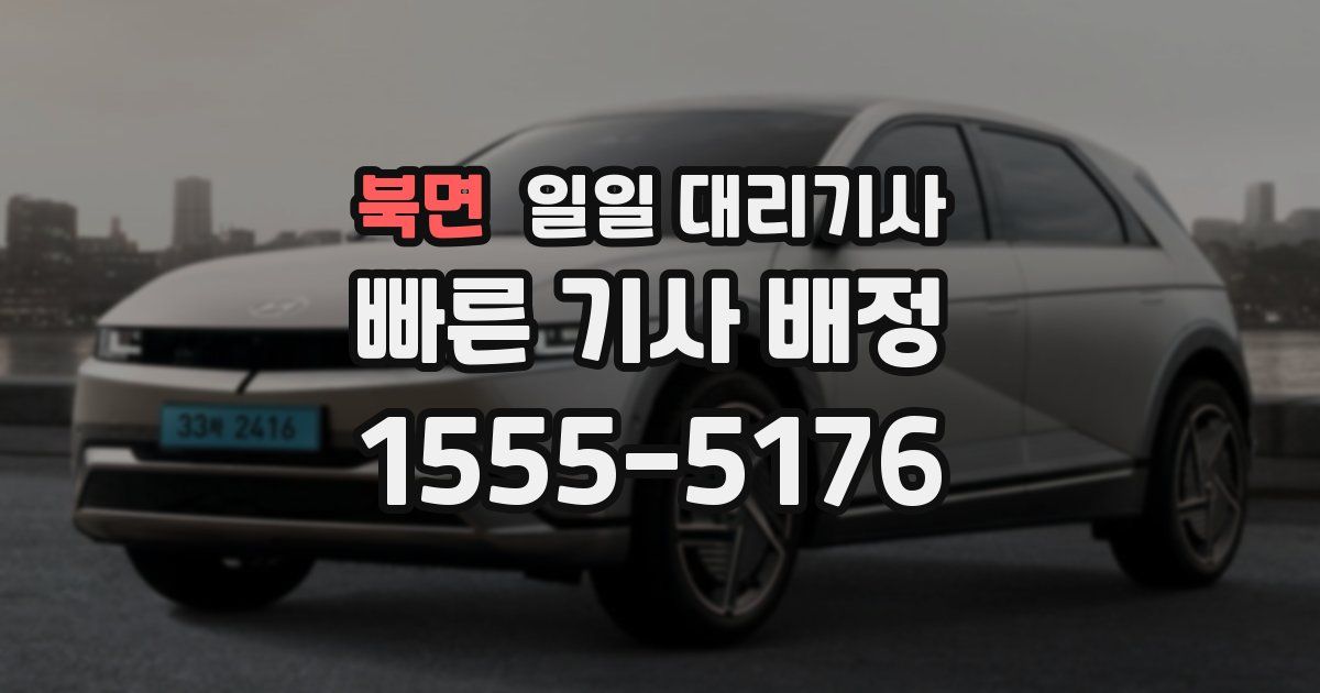 북면 일일 대리기사
