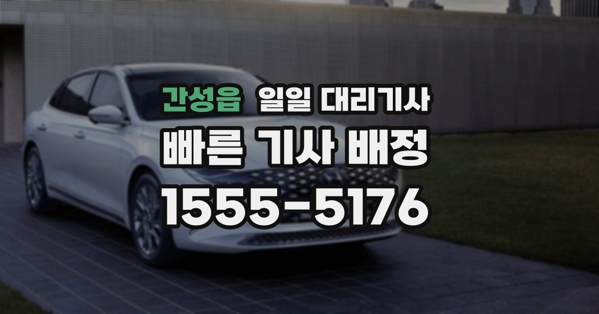 간성읍 일일 대리기사