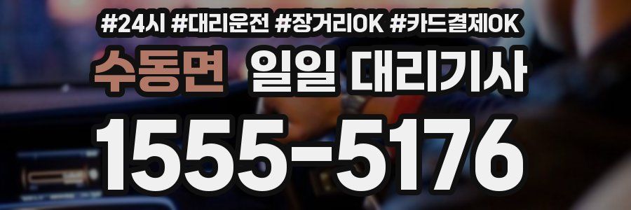 수동면 일일 대리기사