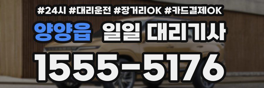 양양읍 일일 대리기사