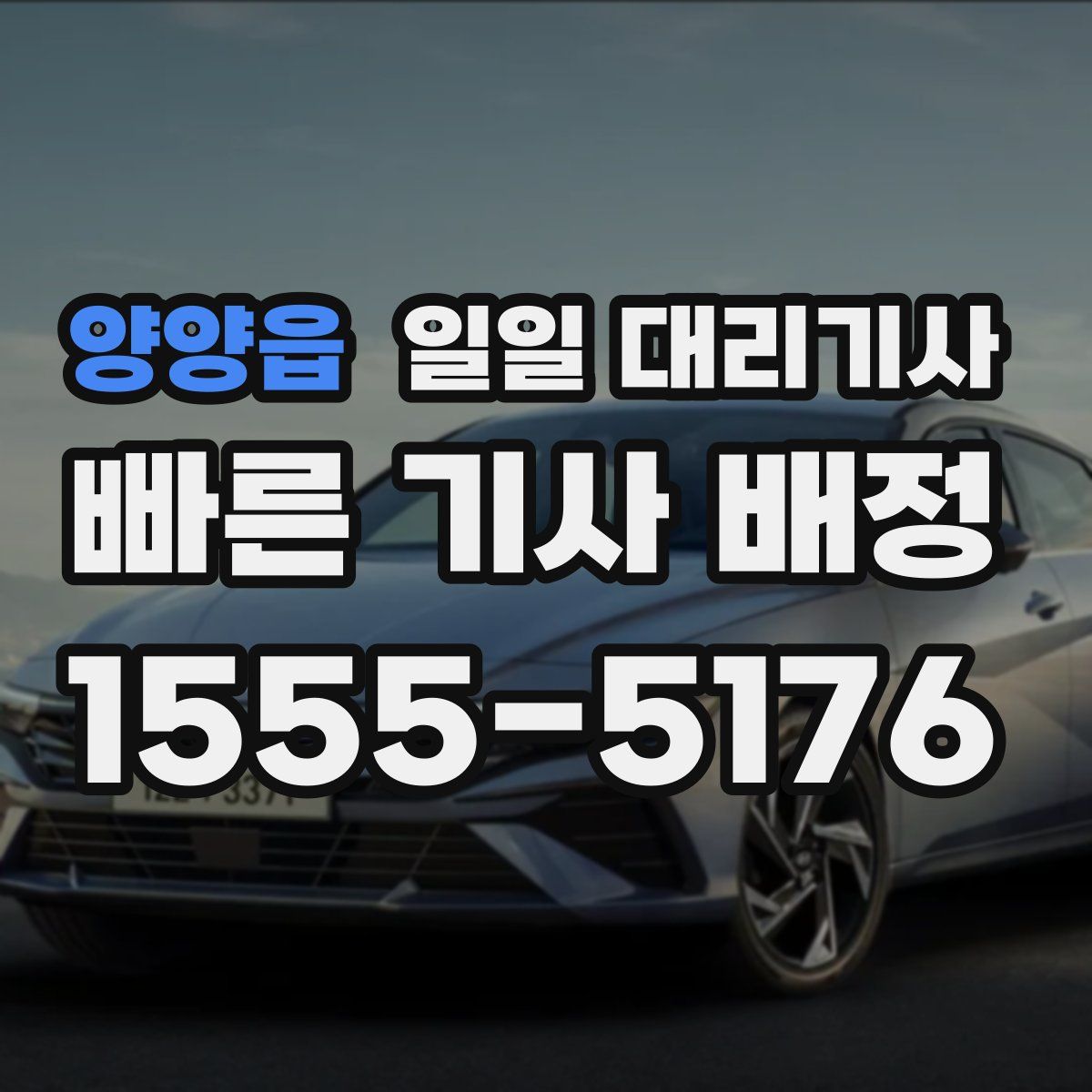 양양읍 일일 대리기사