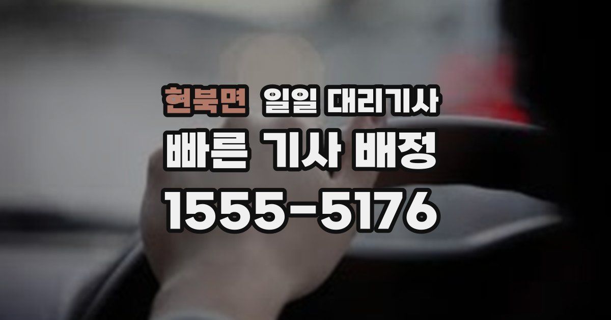 현북면 일일 대리기사