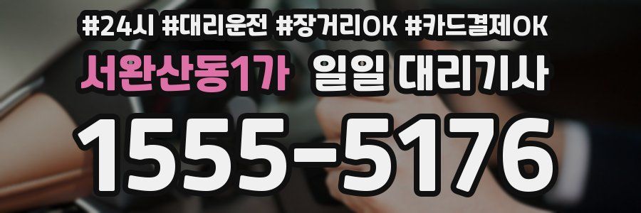 서완산동1가 일일 대리기사