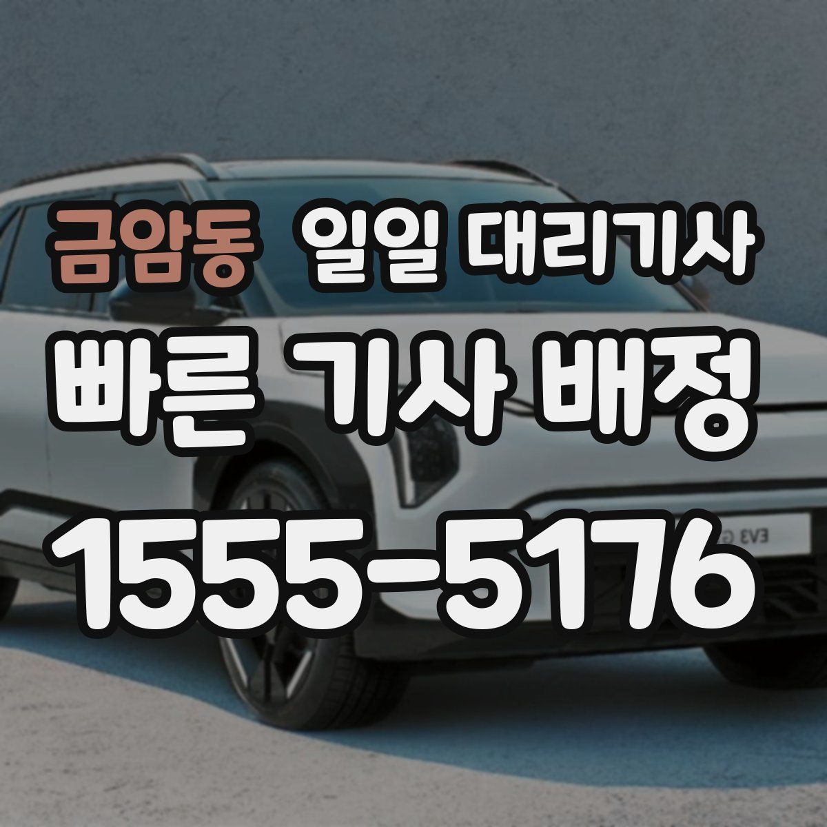 금암동 일일 대리기사