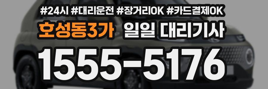 호성동3가 일일 대리기사