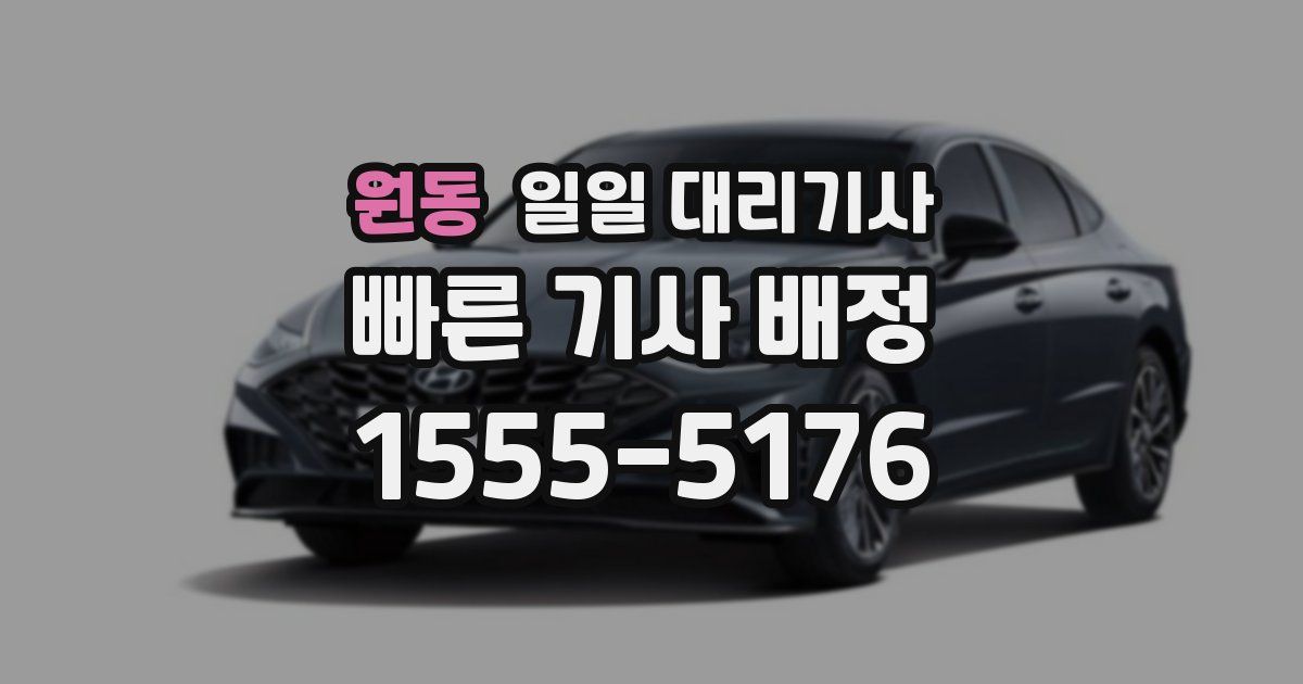 원동 일일 대리기사