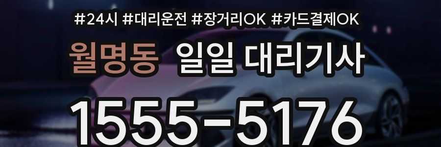 월명동 일일 대리기사