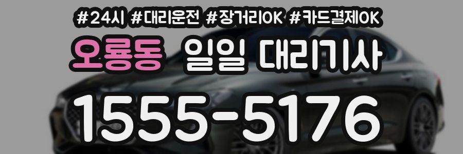 오룡동 일일 대리기사
