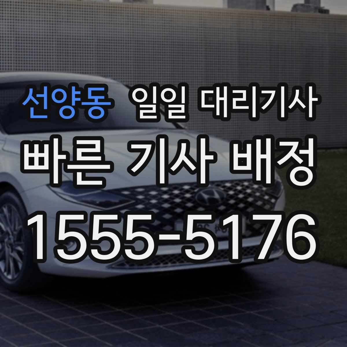 선양동 일일 대리기사