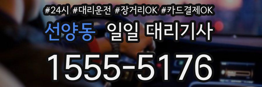 선양동 일일 대리기사