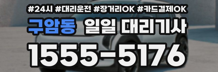 구암동 일일 대리기사
