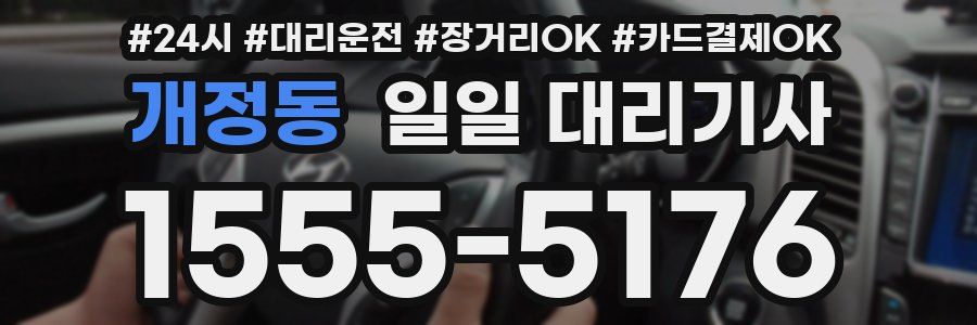 개정동 일일 대리기사