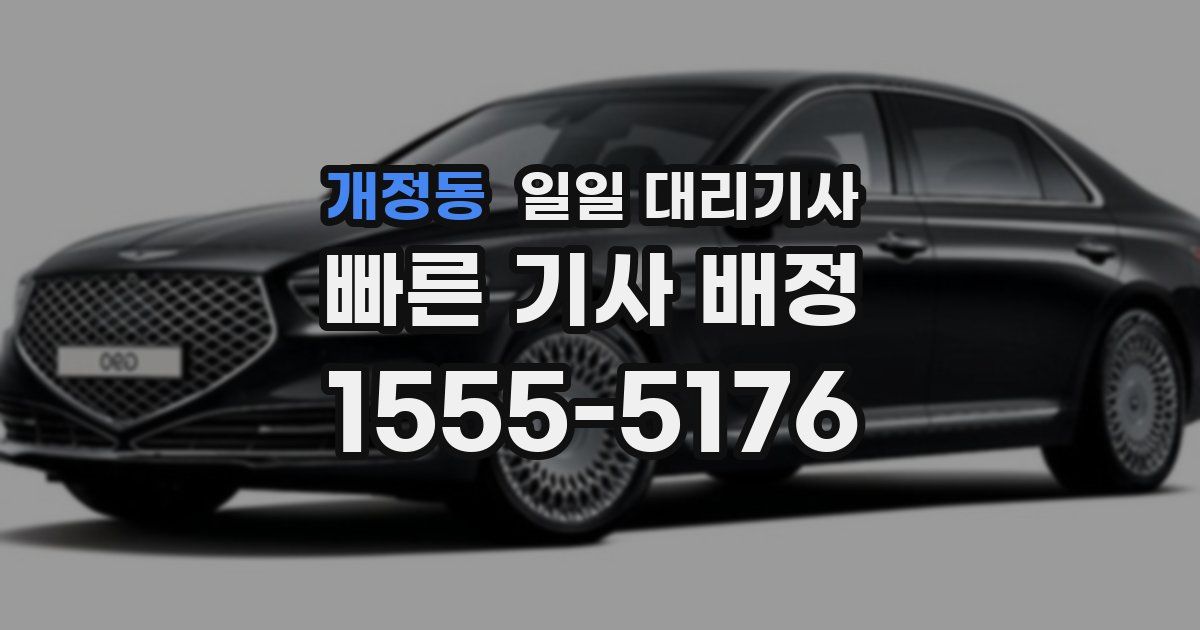 개정동 일일 대리기사