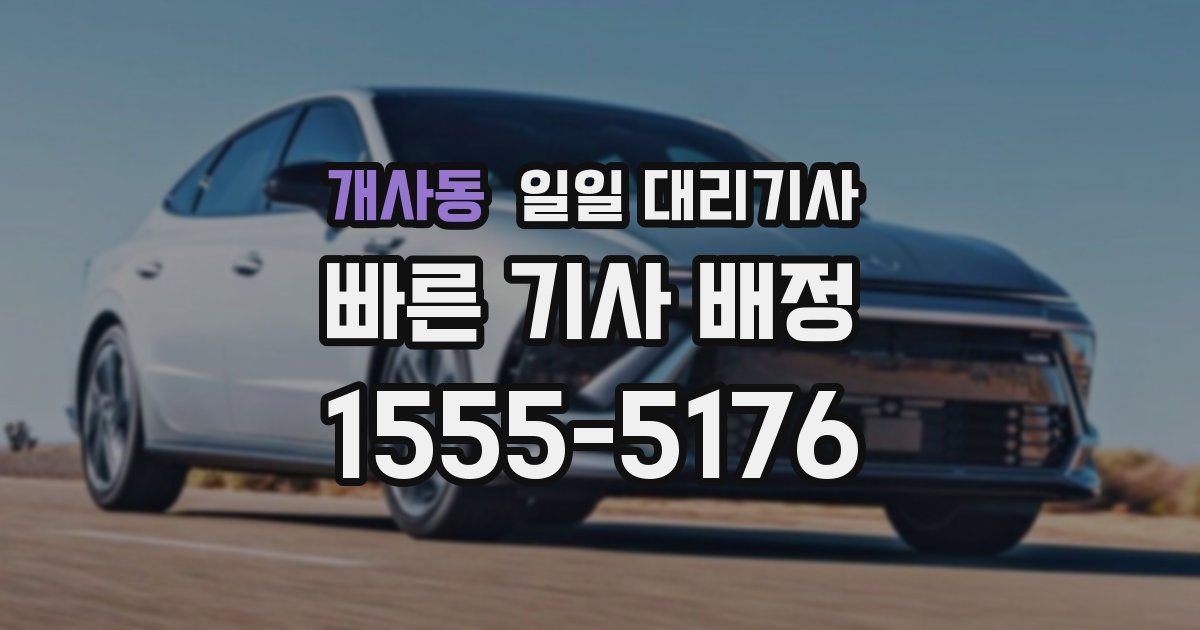 개사동 일일 대리기사