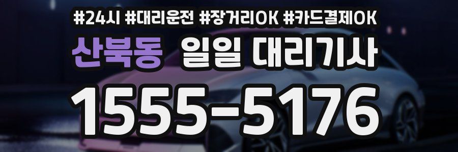 산북동 일일 대리기사