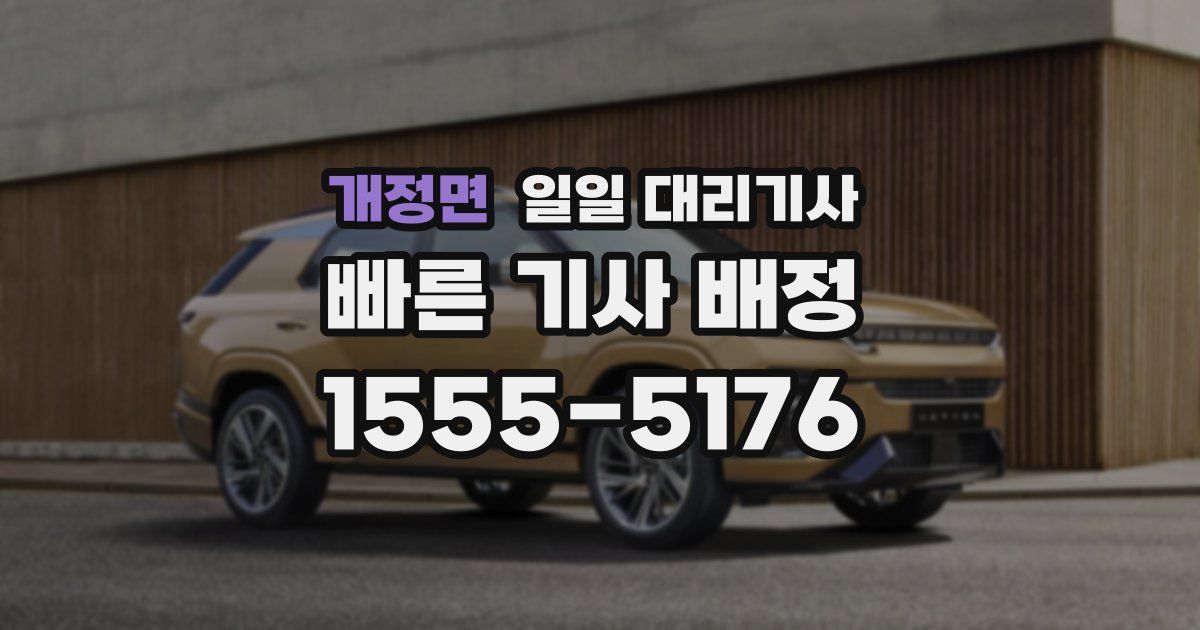 개정면 일일 대리기사