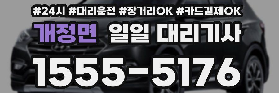 개정면 일일 대리기사