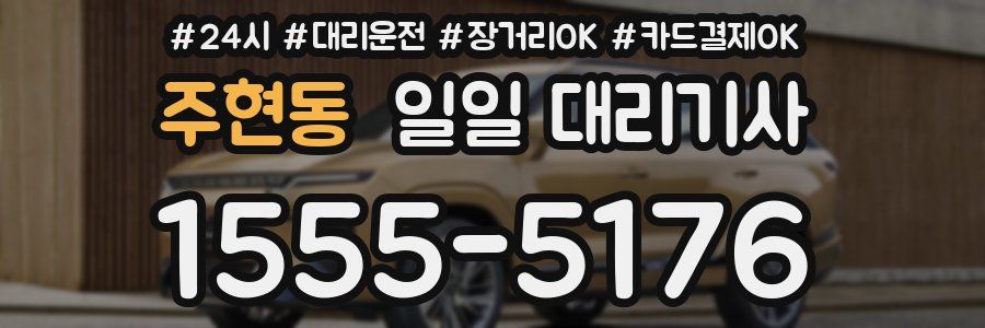 주현동 일일 대리기사