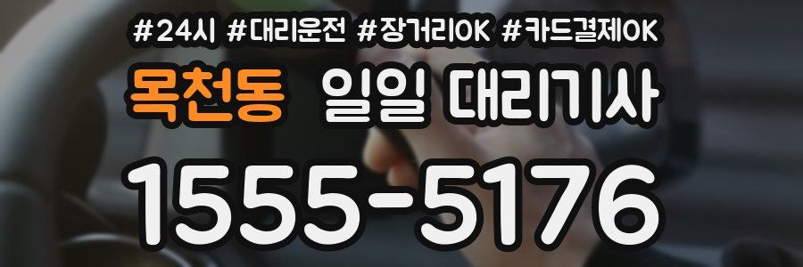 목천동 일일 대리기사