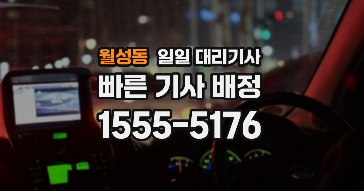 월성동 일일 대리기사