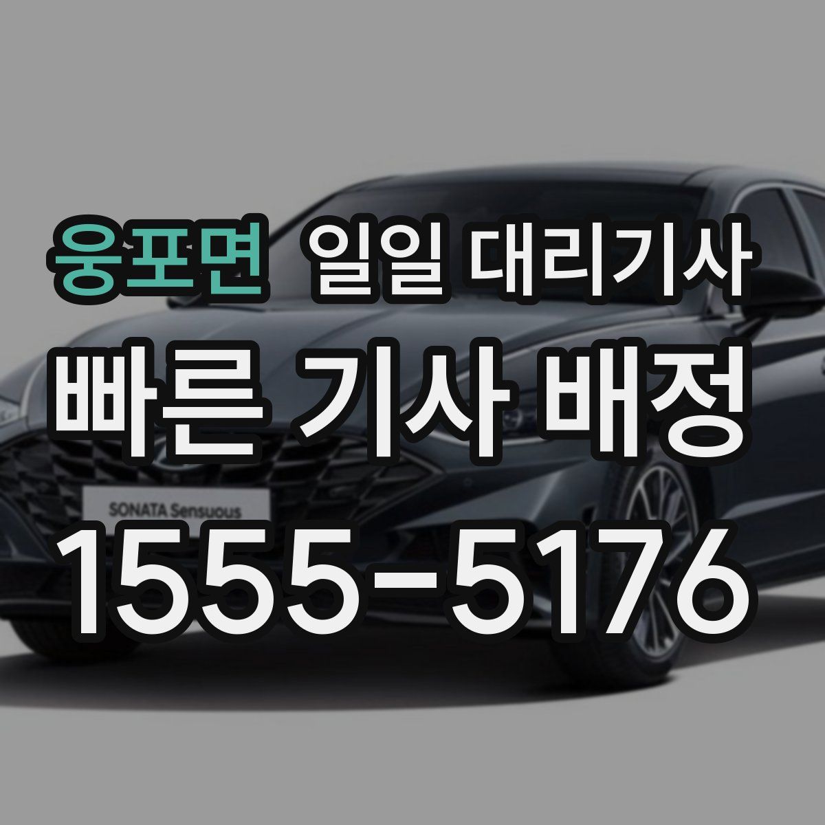 웅포면 일일 대리기사