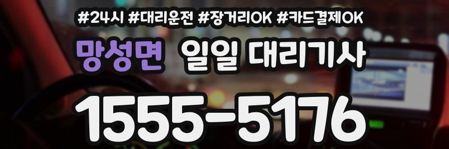 망성면 일일 대리기사