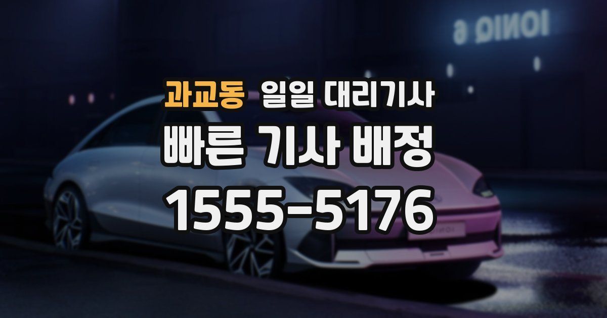 과교동 일일 대리기사