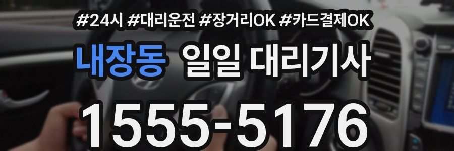 내장동 일일 대리기사