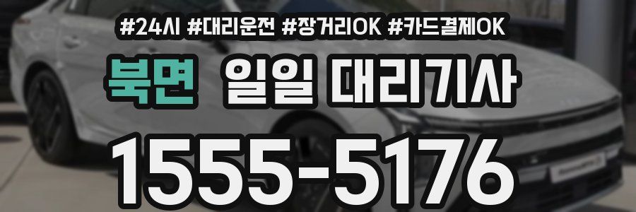 북면 일일 대리기사