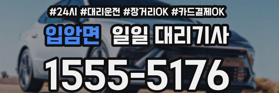 입암면 일일 대리기사