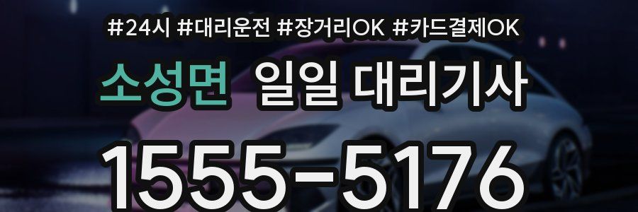소성면 일일 대리기사