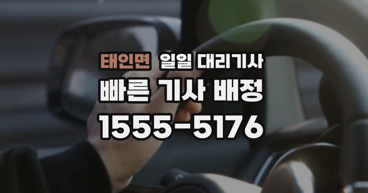 태인면 일일 대리기사