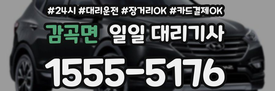 감곡면 일일 대리기사