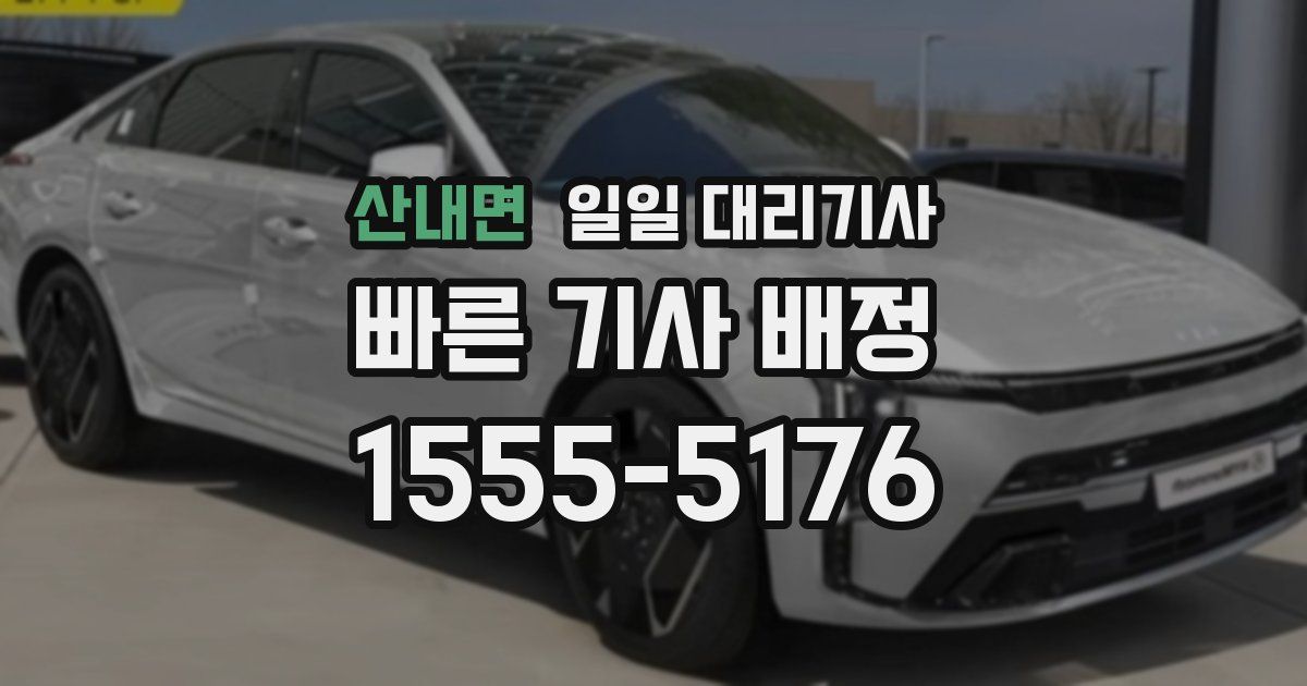 산내면 일일 대리기사
