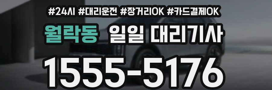 월락동 일일 대리기사