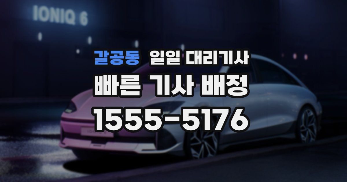 갈공동 일일 대리기사
