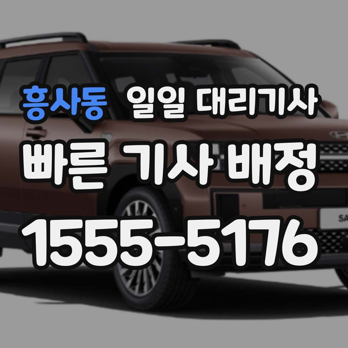 흥사동 일일 대리기사