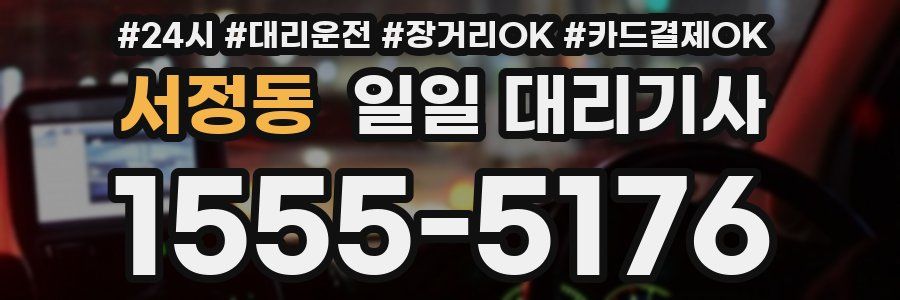 서정동 일일 대리기사