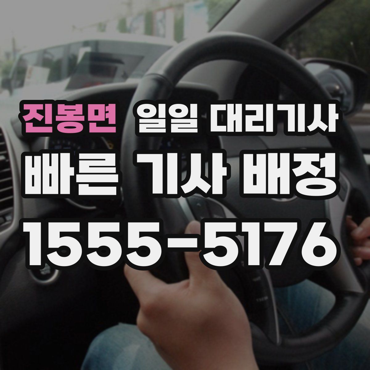 진봉면 일일 대리기사